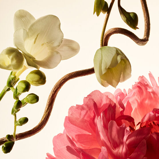 RARE LAYERING BALM FLORAL PEONY BLOSSOM